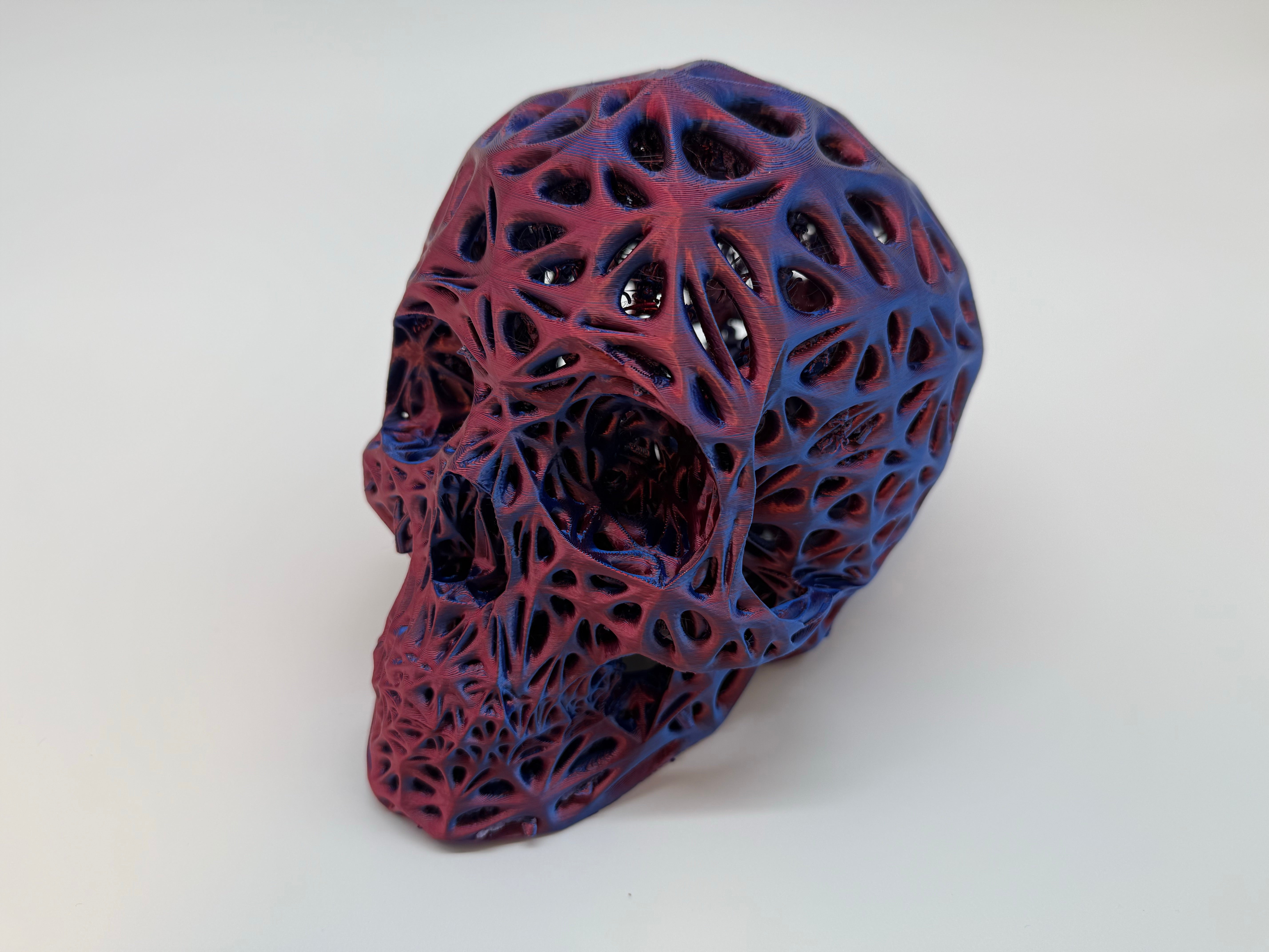 Full Size Human Skull - Premium Quality