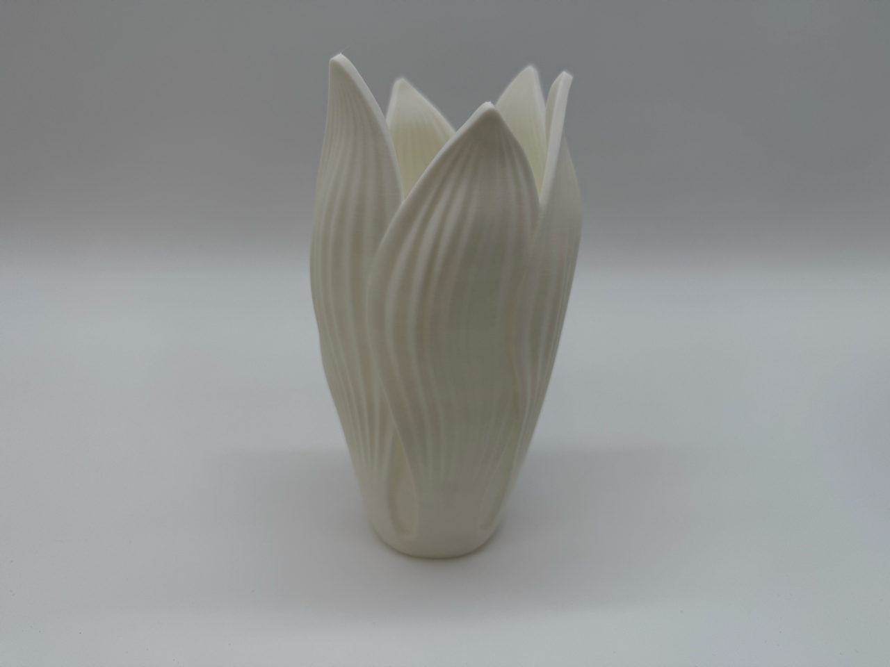 Flower-shaped vase – Organic design – Elegant tulip-style decoration