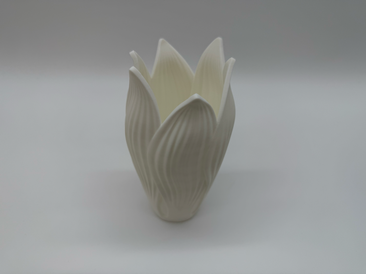 Flower-shaped vase – Organic design – Elegant tulip-style decoration